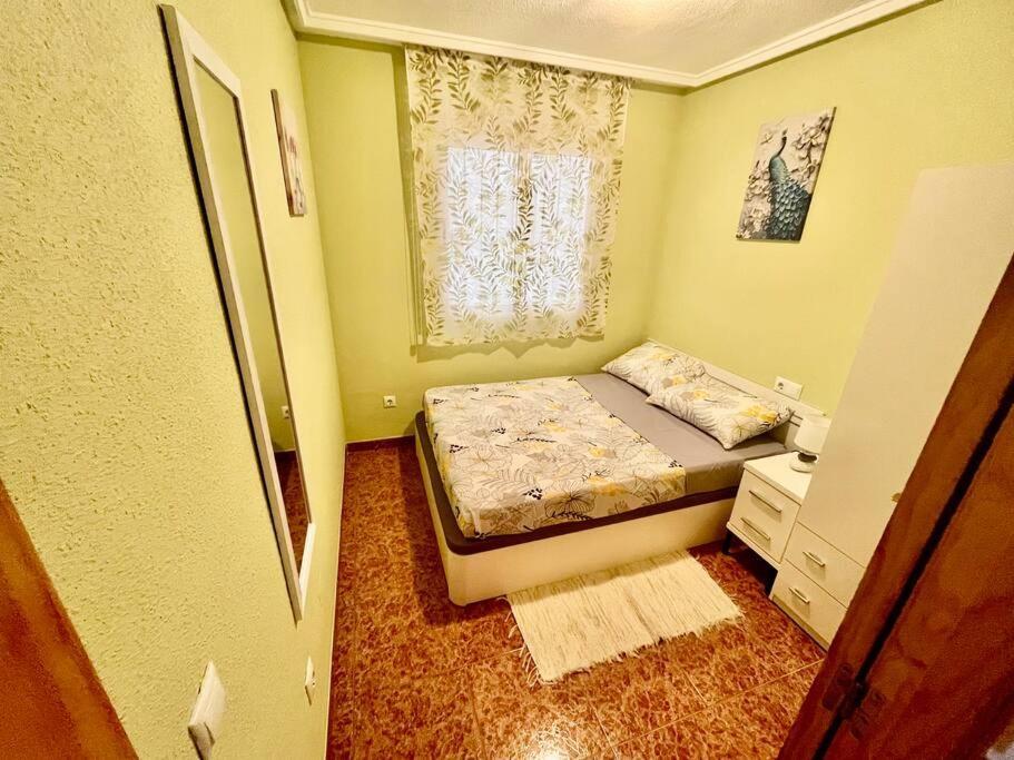 托雷维耶哈Casa Di Mateo With Garden View And Swimming Pool公寓 外观 照片